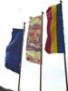 drapel personalizat POLICROMIE